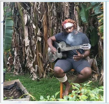 Banana Tree Sessions EP on CD