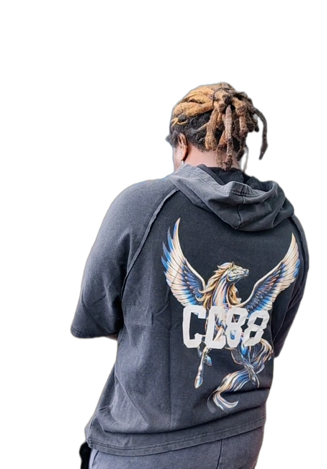 CC88 BEAST Vol. One "The Pegasus" on a Snow Washed Hooded Boxy T-Shirt