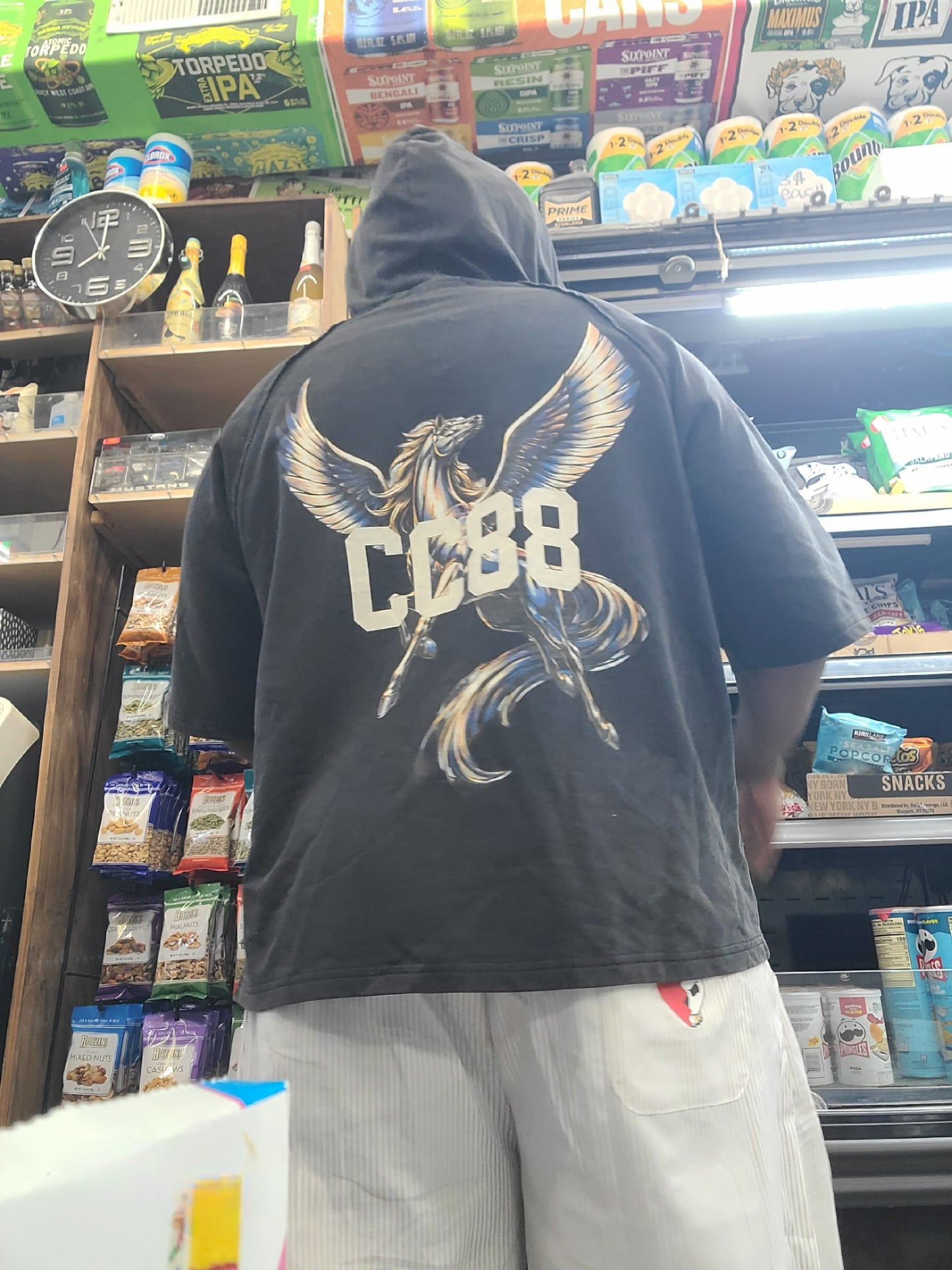 CC88 BEAST Vol. One "The Pegasus" on a Snow Washed Hooded Boxy T-Shirt
