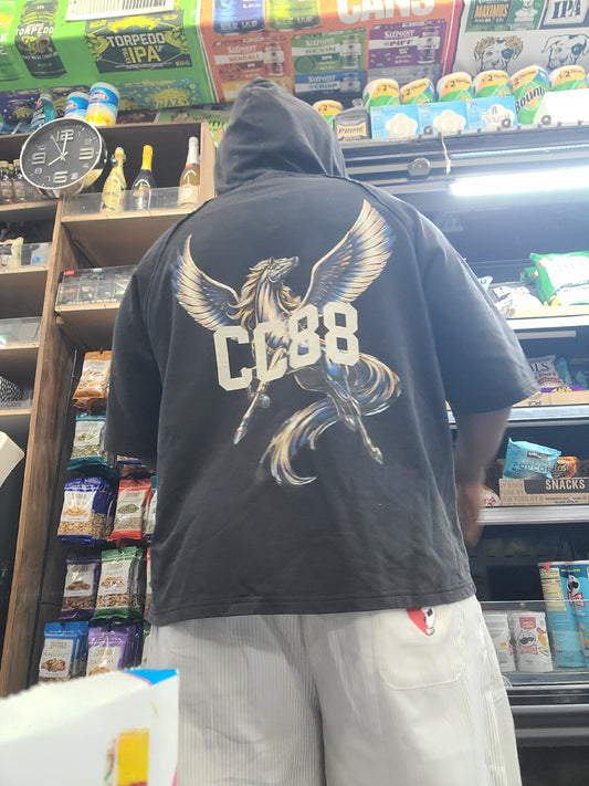 CC88 BEAST Vol. One "The Pegasus" on a Snow Washed Hooded Boxy T-Shirt