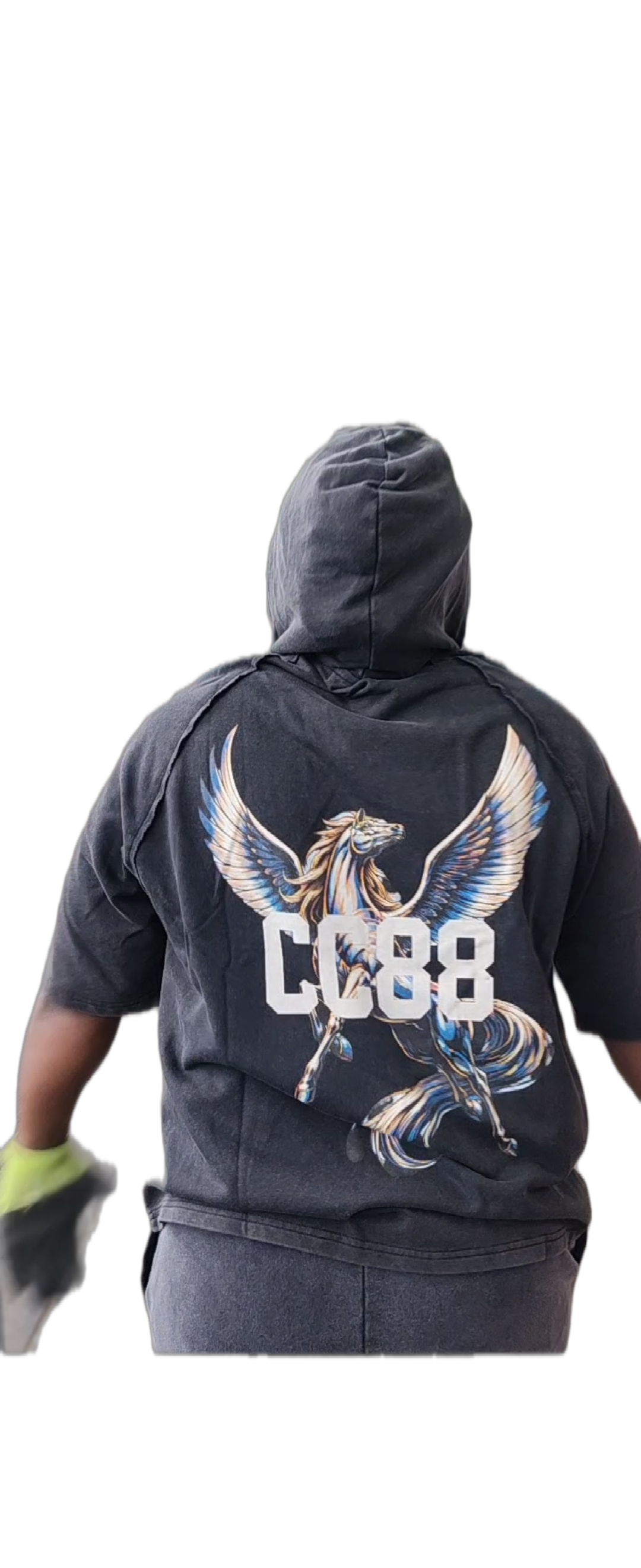 CC88 BEAST Vol. One "The Pegasus" on a Snow Washed Hooded Boxy T-Shirt