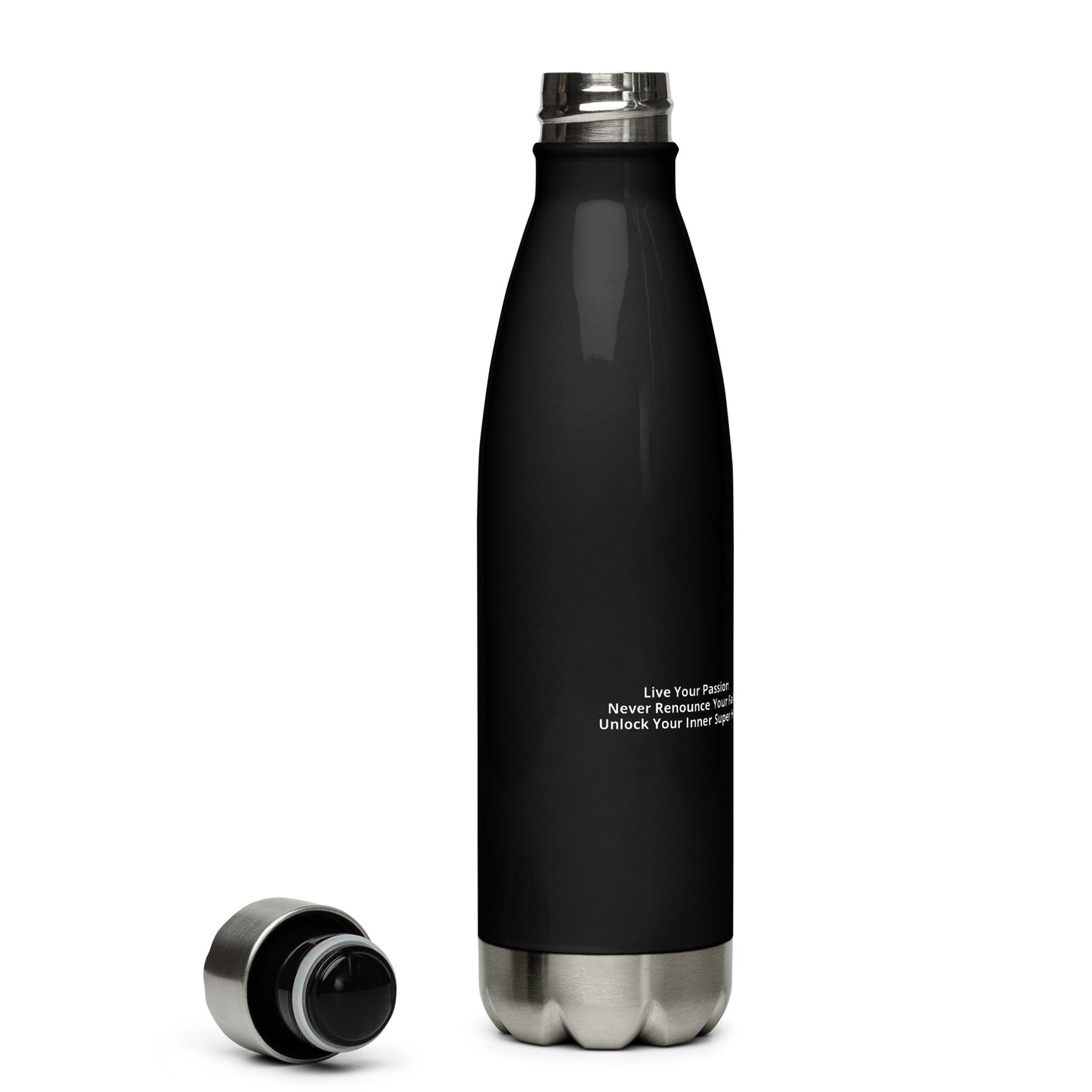 CC88 *World Travelers'* Stainless Steel Water Bottle (Black)